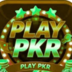 PLAYPKR Game